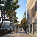 영진메디칼 | 양재 | 올핏 재활pt : 어깨 및 허리 통증, 체간 비대칭 개선을 위한 효과적인 1:1 운동재활트레이닝 후기