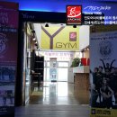 Y.GYM Daum카페