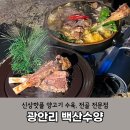 백산꼬치구이 | 광안리술집 양고기 전문점 백산수양, 처음 먹어본 양갈비수육, 양다리전골, 마양밥(주차)