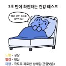 5월 첫 주 일상｜소소하지만 확실한 행복 기록
