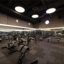 강남-227 이미지