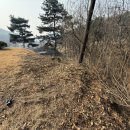 우일순대 네이버블로그