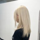 다정동커뮤니티센터 버스정류장 | 세종시 다정동 복구매직 전문 — 엘리제헤어 본점 미소 실장이 전하는 손상모 복구 꿀팁!