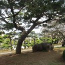 순천금당고등학교 이미지