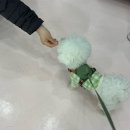 베스티멍 이미지