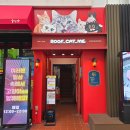 고양이카페 루프캣미 명동점 이미지