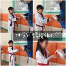 천하태권도장 이미지