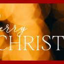 요즘 쇼트트랙은 국가별 팀명도 있어 이미지