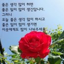 수요일 Daum카페