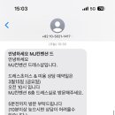 봄인디 보러와유 이미지