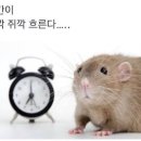 사천프라자 약국 | 25.03.18