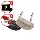 예스골프 이미지