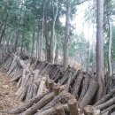 연담농장 이미지