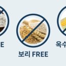 도그홀릭 이미지