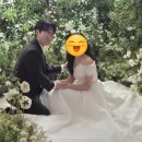 BUD | [결혼과 결론] 본론 04 웨딩촬영_버드투블룸(Bud to Bloom) 후기(조안식 작가님)