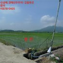 상주시청리면삼괴보건진료소 | ♡상주시 토지(답)경매/경북 상주시경매&gt;경북 상주시 청리면 삼괴리 630-47 경매 정보/ 2019타경71252