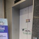 김포24시힐동물의료센터 | 김포24시힐동물의료센터에서 강아지 어르신 건강검진 받았던 날