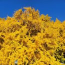 장수송어회식당 | 당일치기 여행지 추천 + [원주 치악산 송어회] 식당 + [라뜰리에김가] 원주 베이커리 카페 후기(내돈내산)