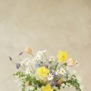 피오앤스튜디오 이미지