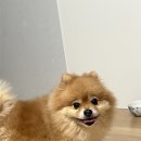 냠냠냠 이미지