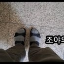 조야엠베테마사이워킹