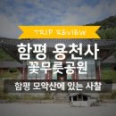 용천사 석등 | 함평 모악산 용천사 | 꽃무릇 명소 | 함평 가볼만한곳 🍂