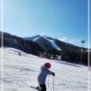 웰리힐리파크 이미지