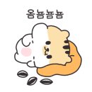 가평1등수상레저 이미지