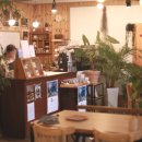 피브밀카페 이미지