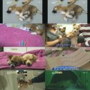 두모농장 이미지