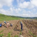 쌍백면사무소 이미지