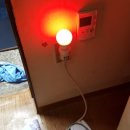 해밀라이트 이미지