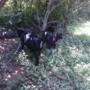 동혜농장 이미지