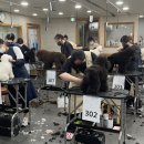 평택애견미용송탄점학원
