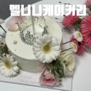 멜니니케이커리