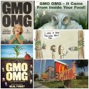 영화로 보는 세상 : GMO의 대대적인 침략 이미지