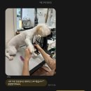 귀엽꾸멍 이미지