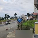 더퍼피즈블루오션 이미지