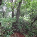 수리봉목장 이미지