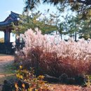 표선리-16 이미지