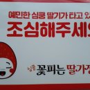 딸기정원