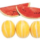 스위스보청기 이미지