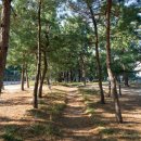 GM24편의점 이미지