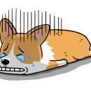 합강정휴게소 이미지