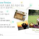 솔마을펜션 Daum카페