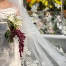 탑선축사 | 대구 야외웨딩홀 메르디앙웨딩 아토아띠, 신부님 찐후기 🤍