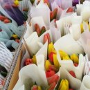 상원리나유치원 이미지