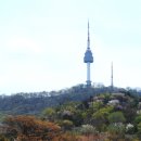 남산 - 원주시 능라동길 74 | 남산
