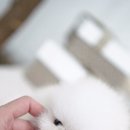 밀리언 로즈 가든 이미지