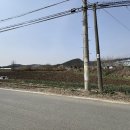 정중1리경로당 이미지